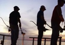 Oklahoma bowfishing needs harvest limits to preserve native fish