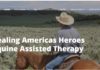 Healing America’s Heroes