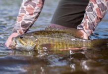 O Canada! New Fly-Fishing Opportunities as the Northern Border Re-Opens