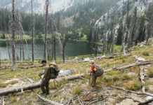 High-elevation adventures: Alpine lakes offer long-lasting family memories