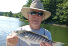 Striper Fishing with NH Guide John McKernan