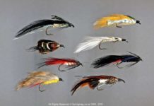 Night Fishing with Lures – Hart’s Creek, L2, Halswell and Selwyn Rivers