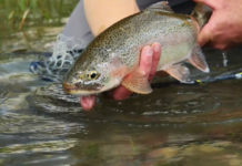 Master Class Monday: How to Fish Streamers in Shallow Water