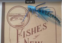 On Poppers and Panfish During ‘Dog Days’