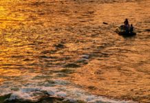 Author Scott Carrier on fishing, COVID and caring for the earth