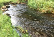 Work Begins on Stream Restoration of Slab Cabin Run at Centre Hills Country Club