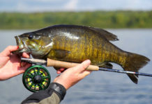 Video: Top 5 Streamers for Smallmouth Bass