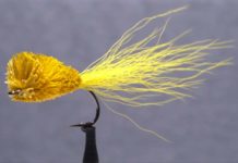 Video: How to Tie Tap’s Bug