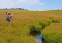 Salomone: Small Streams | VailDaily.com