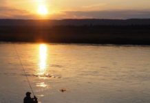 Salomone: A no-nonsense approach at School of Trout