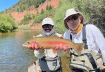 On the Fly: Reading the Signs