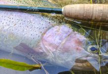 The life and death of a fly rod | Hatch Magazine