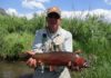 Plan would use poison to restore Yellowstone cutthroat trout in Bighorn Basin