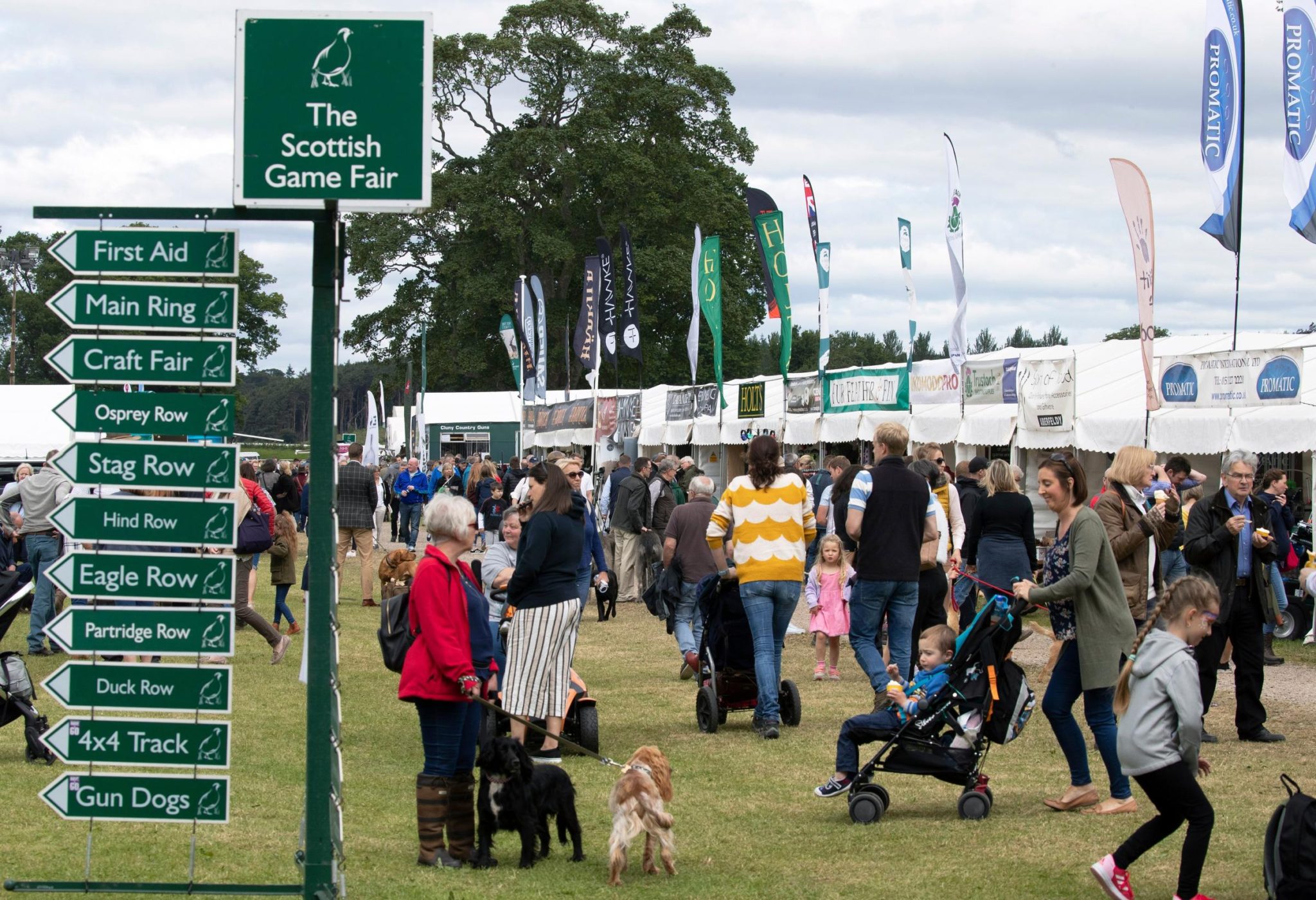 Top 10 things to do at The GWCT Scottish Game Fair 2021 Xpert Fly Fisher