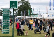 Top 10 things to do at The GWCT Scottish Game Fair 2021