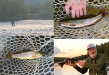 Photos: Week Two of This Year’s “20 September Days” Contest