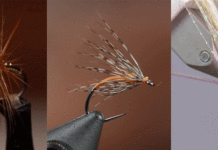 3 Classic Fly Patterns Worth Revisiting This Fall