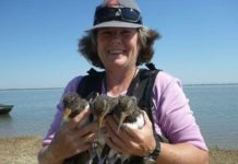 Nature Notes: Fishing line a major hazard to birds | Local News