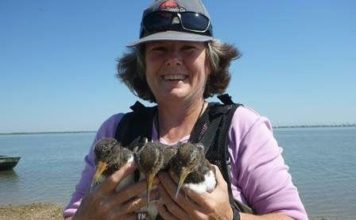 Nature Notes: Fishing line a major hazard to birds | Local News