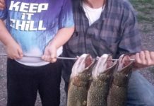 Fishing report: Bighorn, Blackfoot remain top fly-fishing waters | Outdoors
