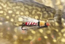 North Country Angling: Fall trout fishing starts now | Fishing