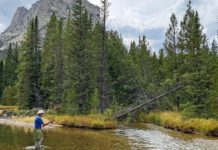 Fishing report: Get out and enjoy fishing your favorite dry fly while you can | Outdoors