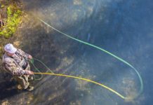 Everything you need to start fishing in Missouri | Features