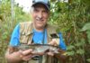 Bob Gwizdz: Breakin’ brush for a bounty of brookies | News