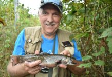 Bob Gwizdz: Breakin’ brush for a bounty of brookies | News