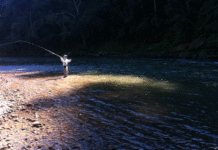 The One that Got Away: Lost Gold