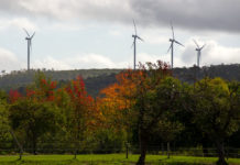 Corridor referendum / COVID testing / Highway safety