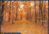 Colleagues share their favorite autumn activities – Michigan Medicine Headlines