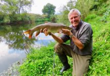 Passion for Barbel… Tactics – Fish & Fly