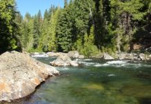 Hiking for trout: A walk in the mountains can take you to some great pools