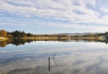 Gone Fishing: The Consultant’s View – Welsh Wild Carp