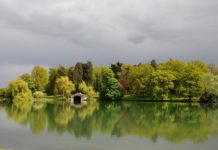 Gone Fishing: The Consultant’s View – Burghley Bream