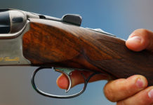 Important Hearing With What You Need To Know About Youth Hunting