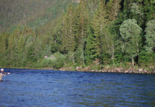 Video Pro Tips: How to Make a Double Spey Cast