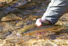 Three River Fly Fishing Festival