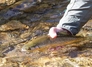 Three River Fly Fishing Festival