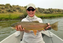 Of flies, fish and fire on the rivers