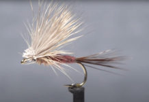 Video: How to Tie an Isonychia Harrop’s Hairwing Dun