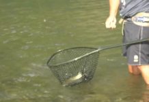 Keep landing those fish quickly even as water cools down