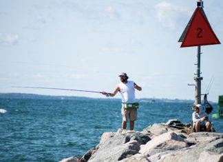 The Vineyard Gazette – Martha’s Vineyard News