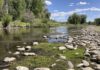 Prized trout streams shrink as heat, drought grip West