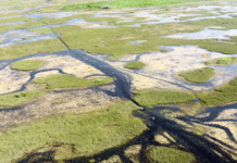 Orvis Joins Conservation Groups Urging Congress to Pass Funding for Everglades Restoration