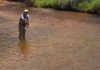 Video Pro Tips: How to Swing Wet Flies and Nymphs