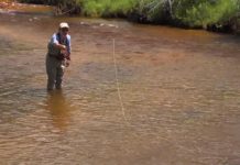 Video Pro Tips: How to Swing Wet Flies and Nymphs