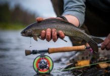 Waters of Plenty: Fishing an Underrated River in Alaska