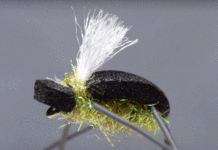 Video: How to Tie the Turbo Beetle